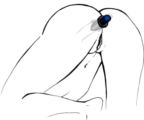 Otwarty korek analny plug tunel sex zatyczka 10cm