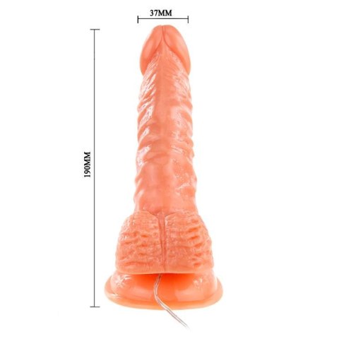 Wibrujący żylasty realistyczny penis z przyssawką
